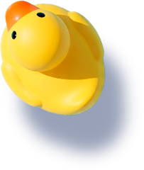 Object Duck